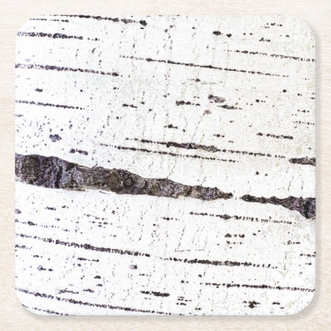 Birch bark mönster underlägg papper kvadrat (Framsidan)