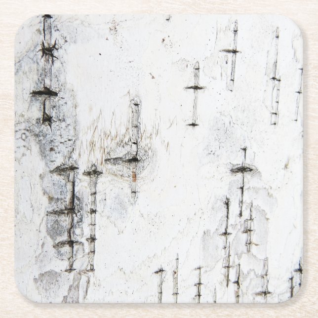 Birch bark mönster underlägg papper kvadrat (Framsidan)