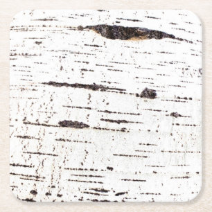 Birch bark mönster underlägg papper kvadrat