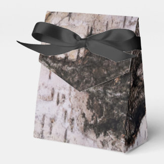 Birch Bark - Naturfoto av trä struktur Presentaskar