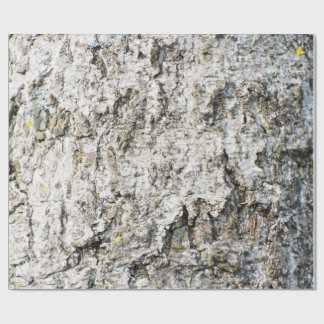 Birch bark pattern presentpapper