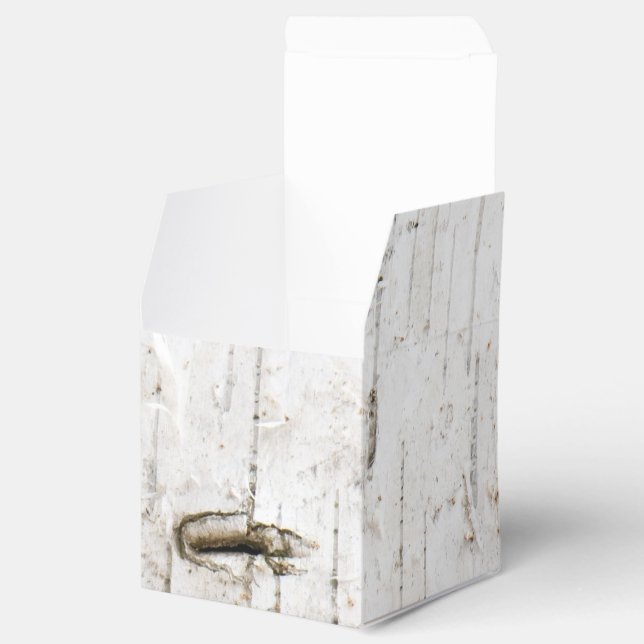 Birch bark struktur presentaskar (Öppnad)