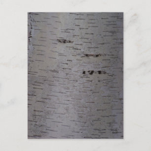 Birch Bark Vykort