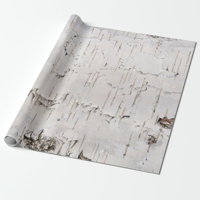 Birch Bark White Rustic Helgdag Gift Presentpapper (Utrullad)