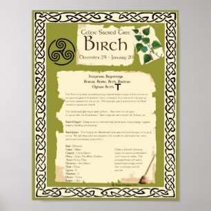 BIRCH CELTIC HELIG TRÄD POSTER