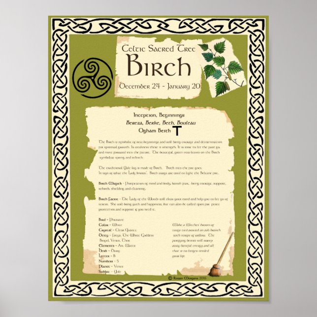 BIRCH CELTIC HELIG TRÄD POSTER (Framsidan)