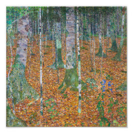 Birch Forest | Gustav Klimt | Fototryck