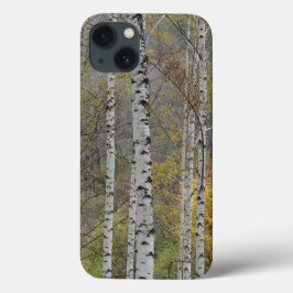 Birch Forest Photo Apple iPhone 8/7, Tuff Xtreme