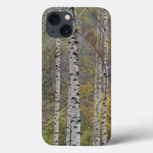 Birch Forest Photo Apple iPhone 8/7, Tuff Xtreme