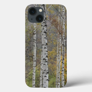 Birch Forest Photo Apple iPhone 8/7, Tuff Xtreme