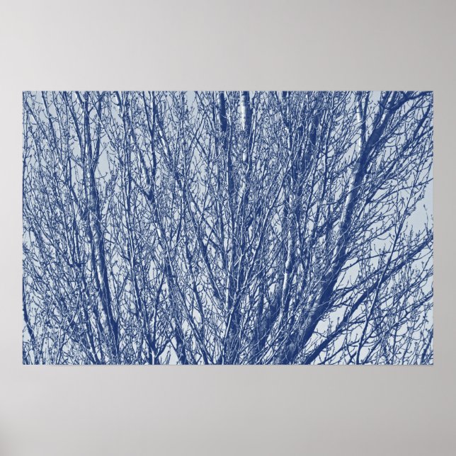 Birch Grenar - Cyanotype-effekt Poster (Framsidan)