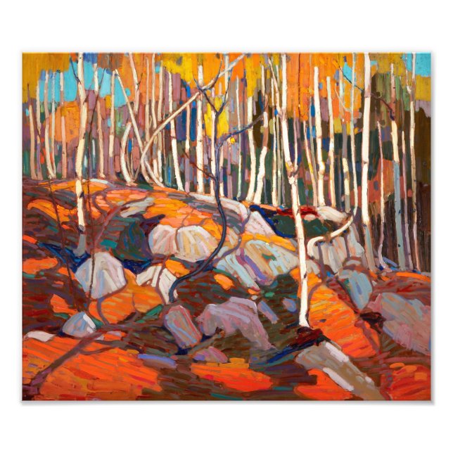 Birch Grove, höst | Tom Thomson | Fototryck (Framsidan)
