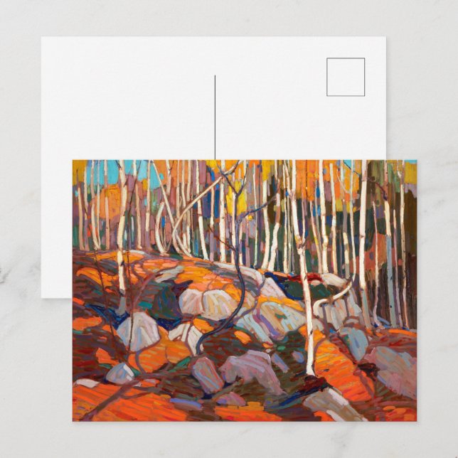 Birch Grove, höst | Tom Thomson | Vykort (Fram/baksida)