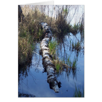 Birch i Vatten OBS Kort