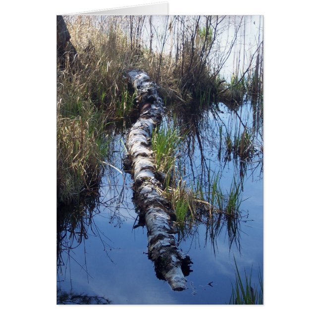 Birch i Vatten OBS Kort (Framsidan)