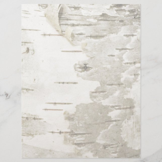 Birch lite (Framsida)