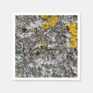 Birch och Lichen Pappersservett