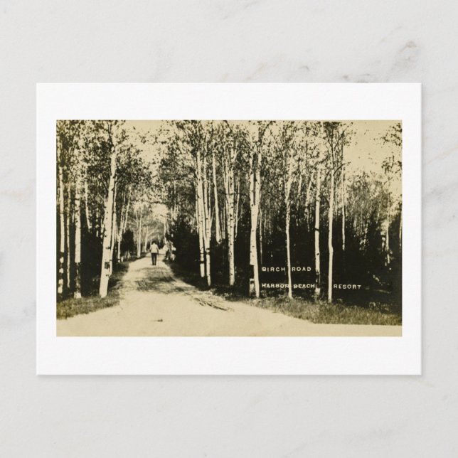 Birch Road Harbour Beach Resort, Michigan Vykort (Framsida)