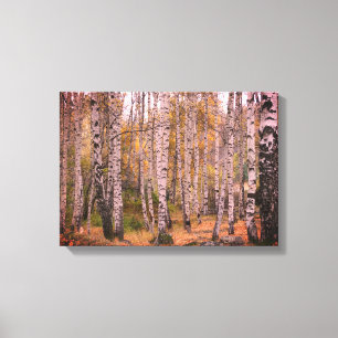 Birch Skogen Autumn Photo Single Canvastryck