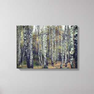 Birch Skogen Autumn Photo Single Canvastryck
