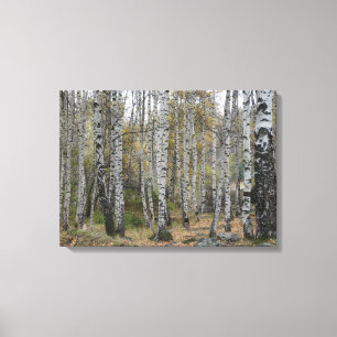 Birch Skogen Autumn Photo Single Canvastryck