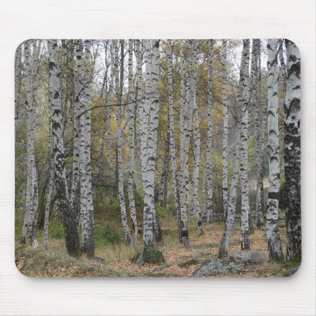 Birch Skogen Photo on Mousepad Musmatta (Framsidan)