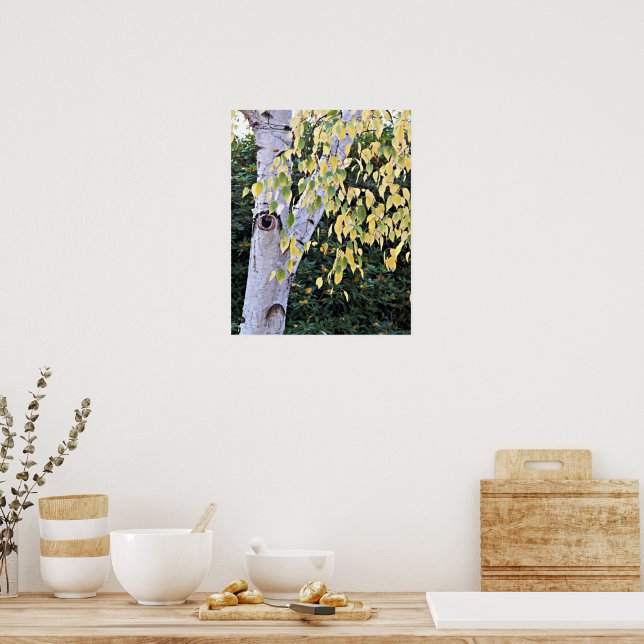 Birch Träd Ansikte Nature Poster (Kök)