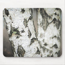 Birch Träd Bark