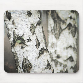 Birch Träd Bark Musmatta