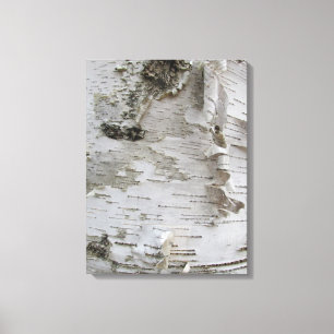 Birch Träd Bark Peeled Old Photo Art Canvastryck