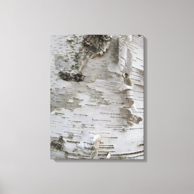 Birch Träd Bark Peeled Old Photo Art Canvastryck (Framsida)