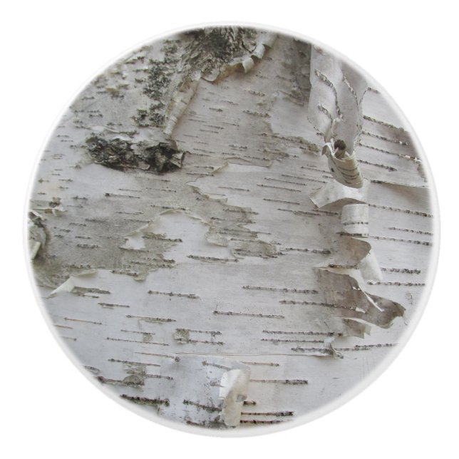 Birch Träd Bark Peeled Old Photo Art Knopp (Framsidan)