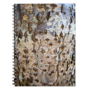 Birch Träd Bark Photo Notebook Anteckningsbok Med Spiral