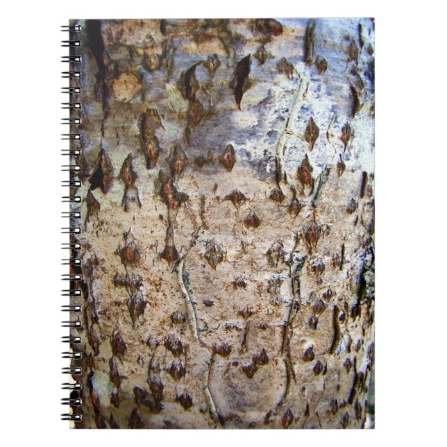 Birch Träd Bark Photo Notebook Anteckningsbok Med Spiral (Framsidan)
