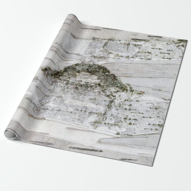 Birch Träd Bark Presentpapper (Utrullad)