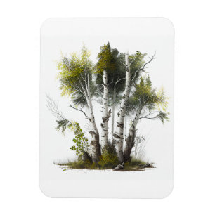 Birch Träd, Birches Northern Ireland Magnet