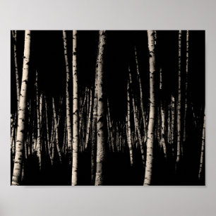 Birch Träd Forest i Sepia Poster