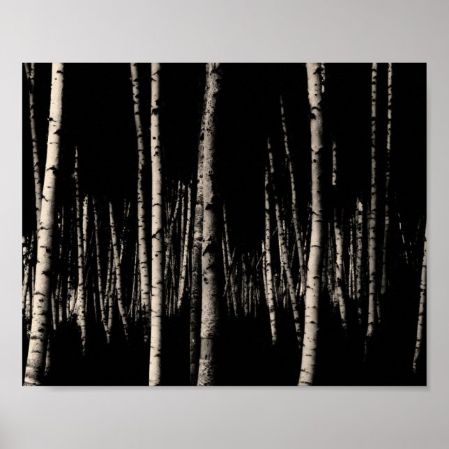 Birch Träd Forest i Sepia Poster (Framsidan)