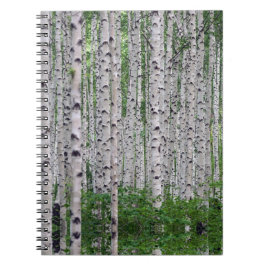 Birch Träd Forest Nature Anteckningsbok