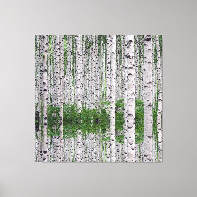 Birch Träd Forest Nature Canvas Wall Art (Framsida)