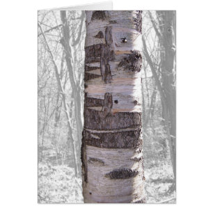 Birch Träd Hälsningskort