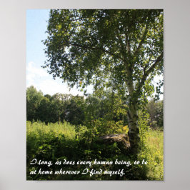 Birch Träd inspirational Print Poster