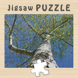 Birch Träd Krona Photo - Pussel