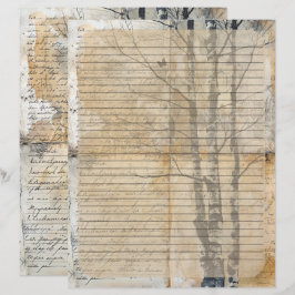 Birch Träd Old Manuscript Brevhuvud