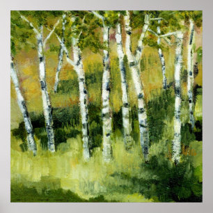 Birch Träd Poster