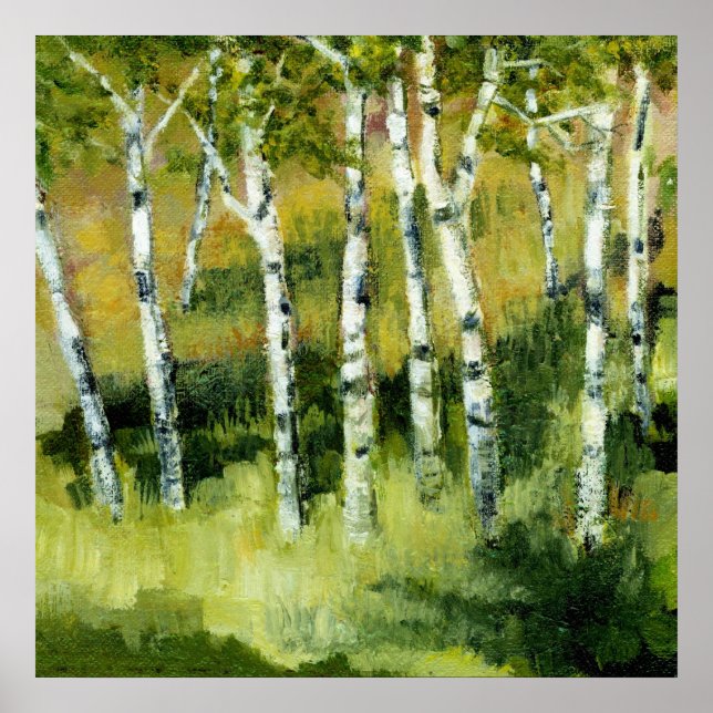 Birch Träd Poster (Framsidan)