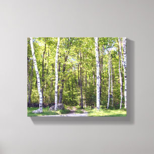 Birch Träd Skogen Wrapped Canvas