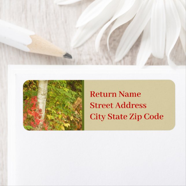 Birch Träd Trunk Returadress Etikett (Insitu)