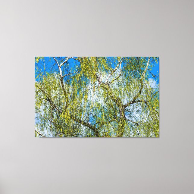 Birch träd - Vår ligger i luft Canvastryck (Framsida)