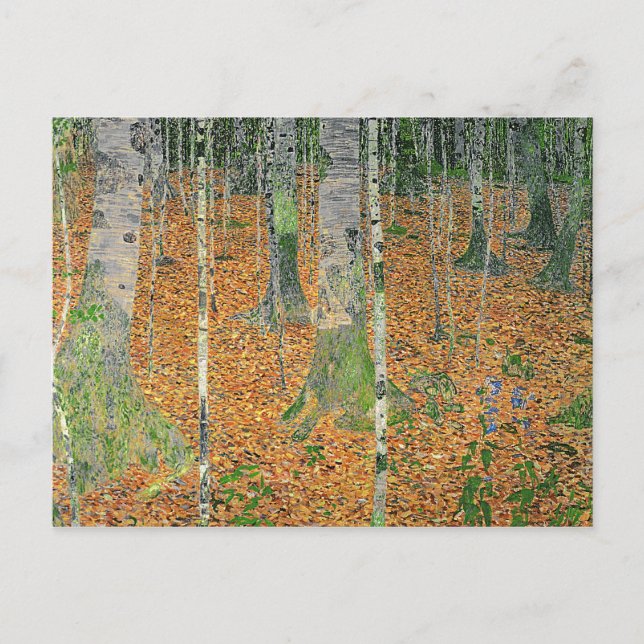 Birch Wood, 1903 Vykort (Framsida)